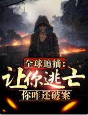 全球追捕:让你逃亡,你咋还破案